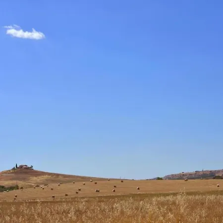 Authentic Pool House 아파트 콘티냐노